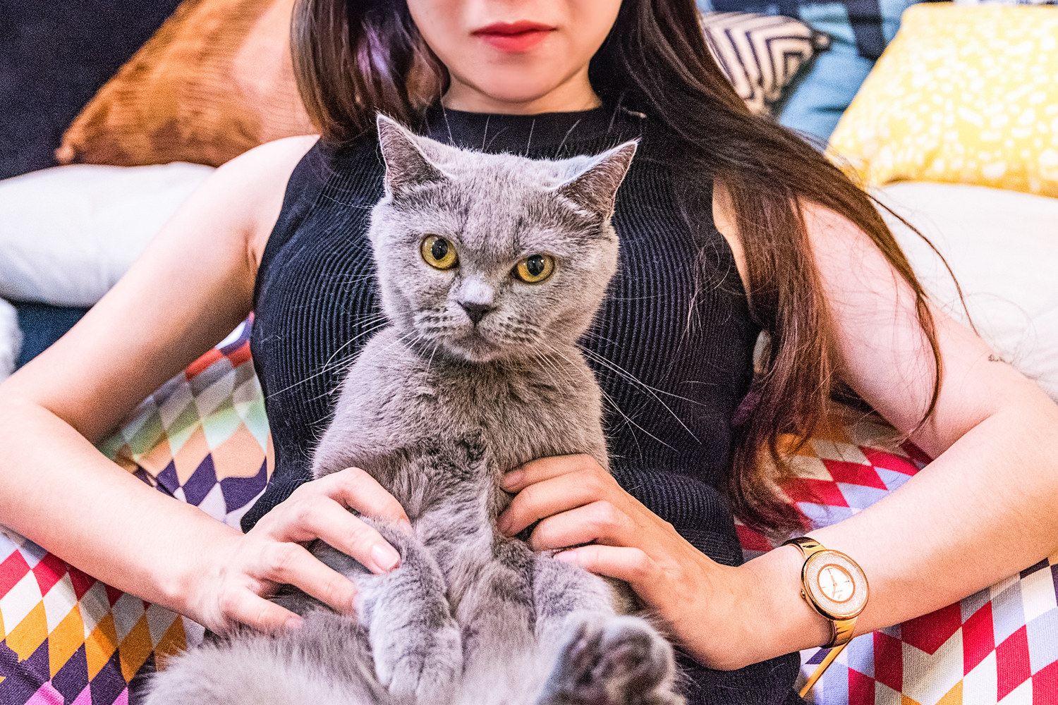 其他