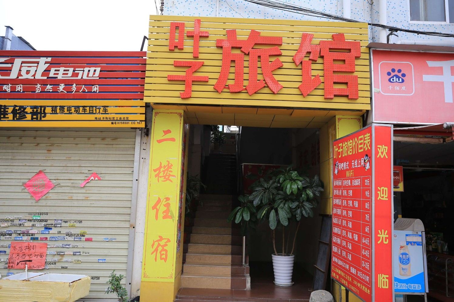 外观