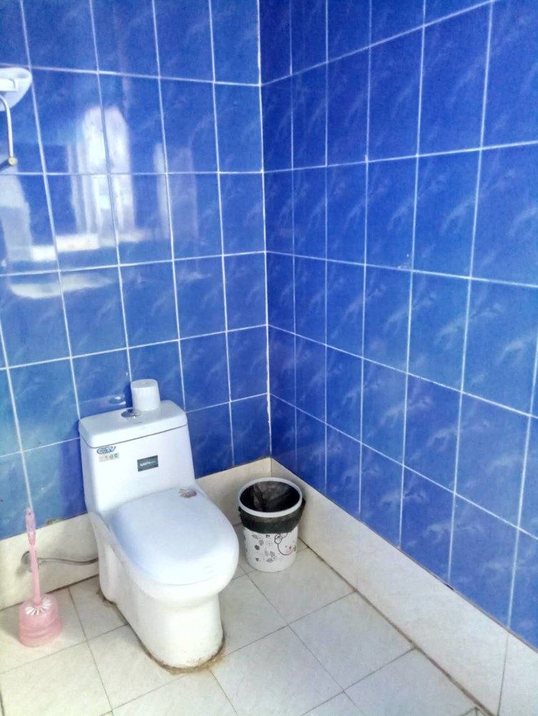 双床房(无窗)