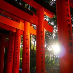 景点模块 