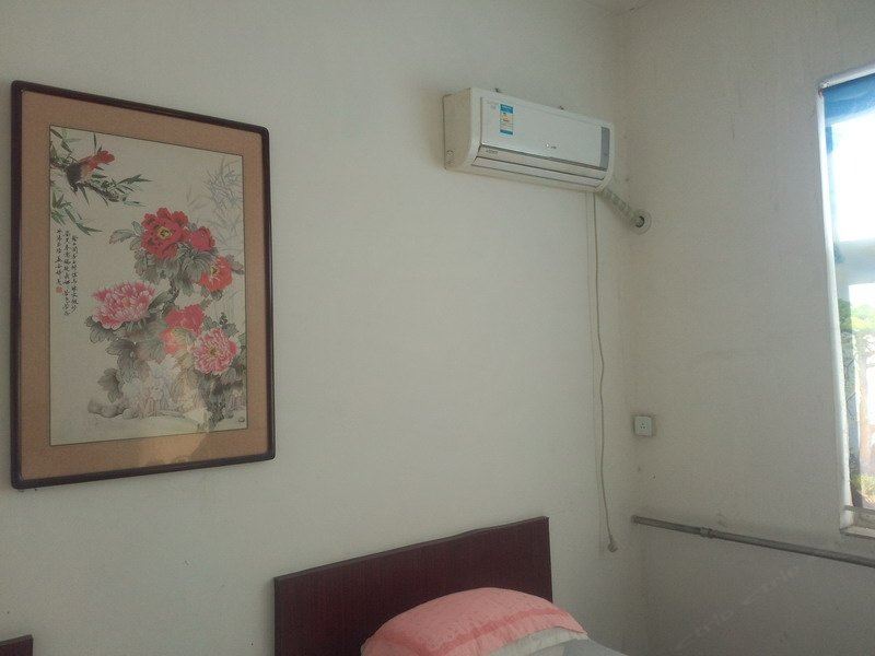普通单人间