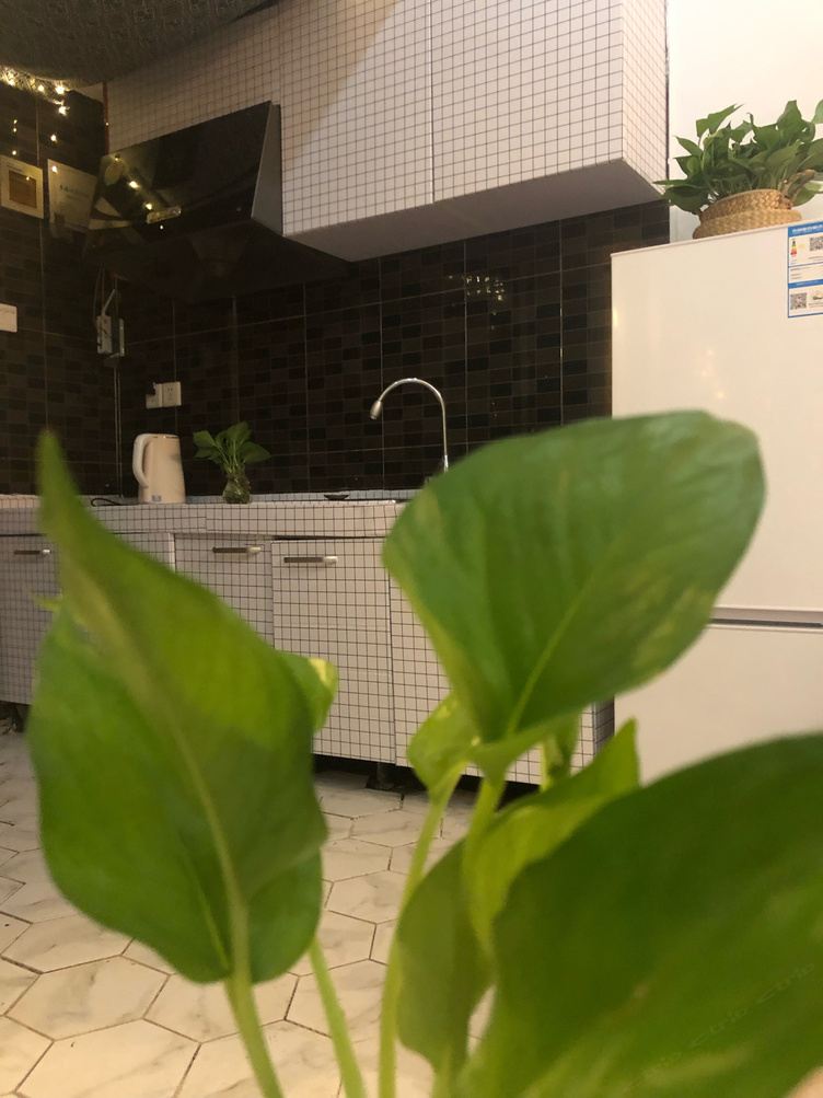 北欧风一室大床房
