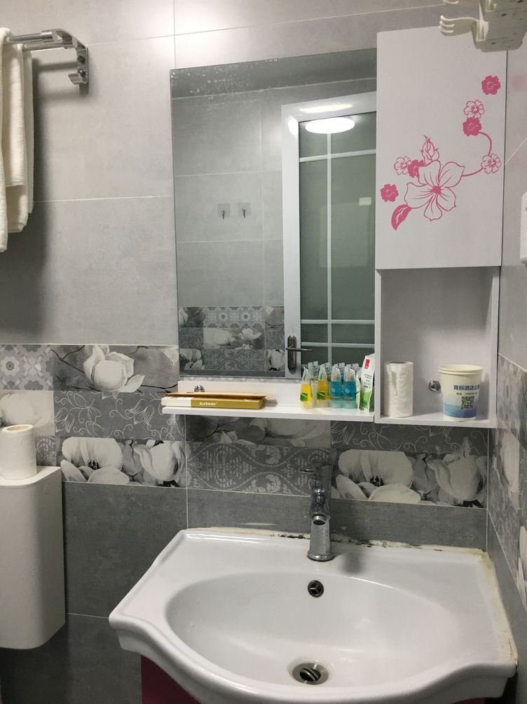精致一室大床房