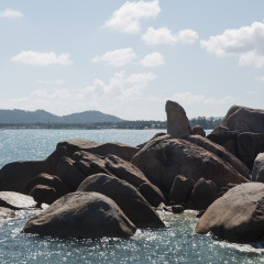 活动模块 