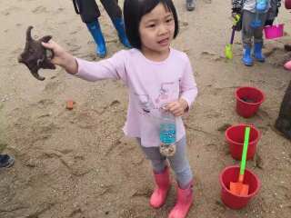 廈門鼓浪嶼旅游團(tuán)報價自由行_旅游團(tuán)廈門鼓浪嶼_廈門鼓浪嶼旅游一次多少錢