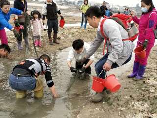 廈門鼓浪嶼旅游團(tuán)報價自由行_旅游團(tuán)廈門鼓浪嶼_廈門鼓浪嶼旅游一次多少錢