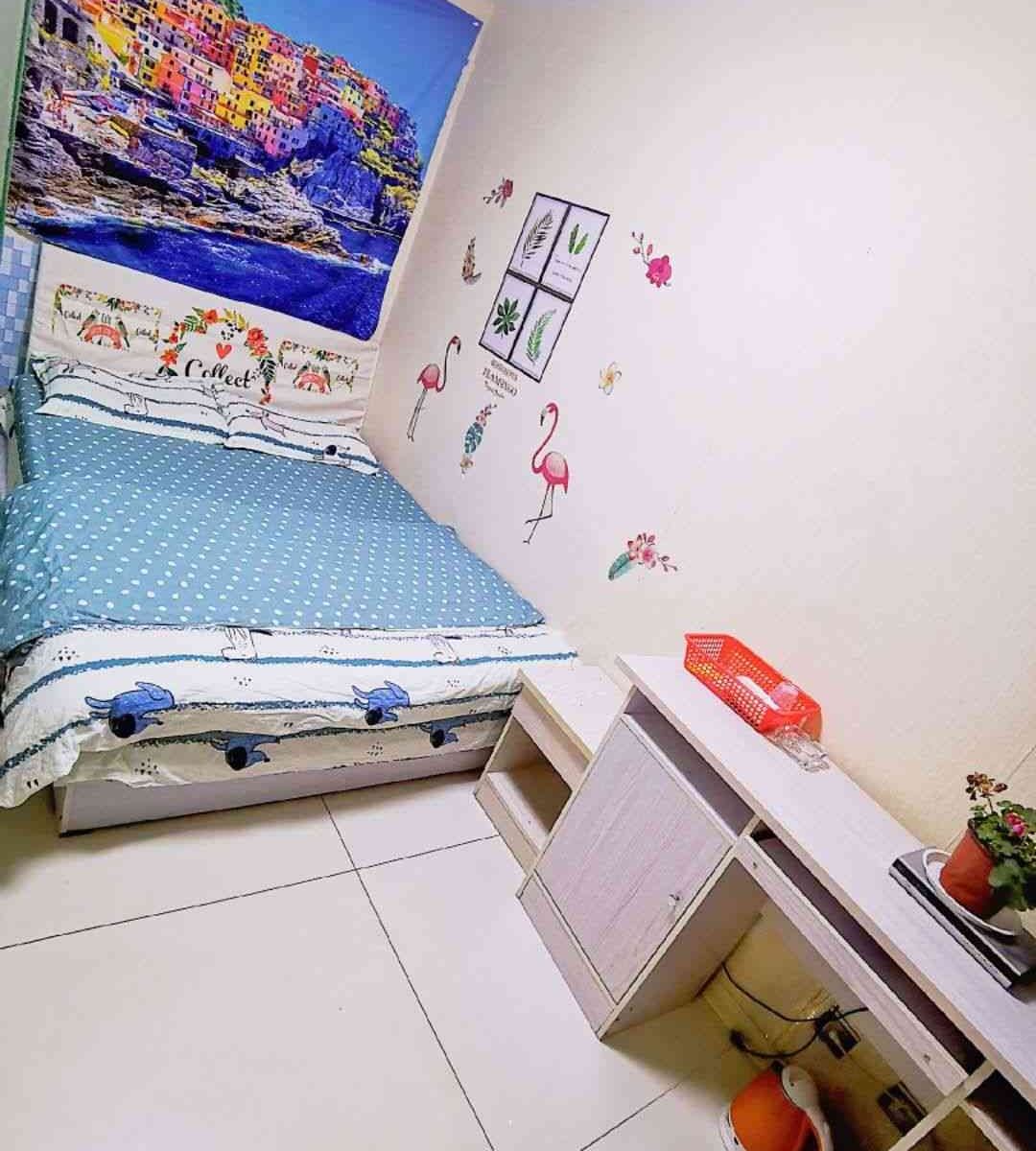 普通大床房