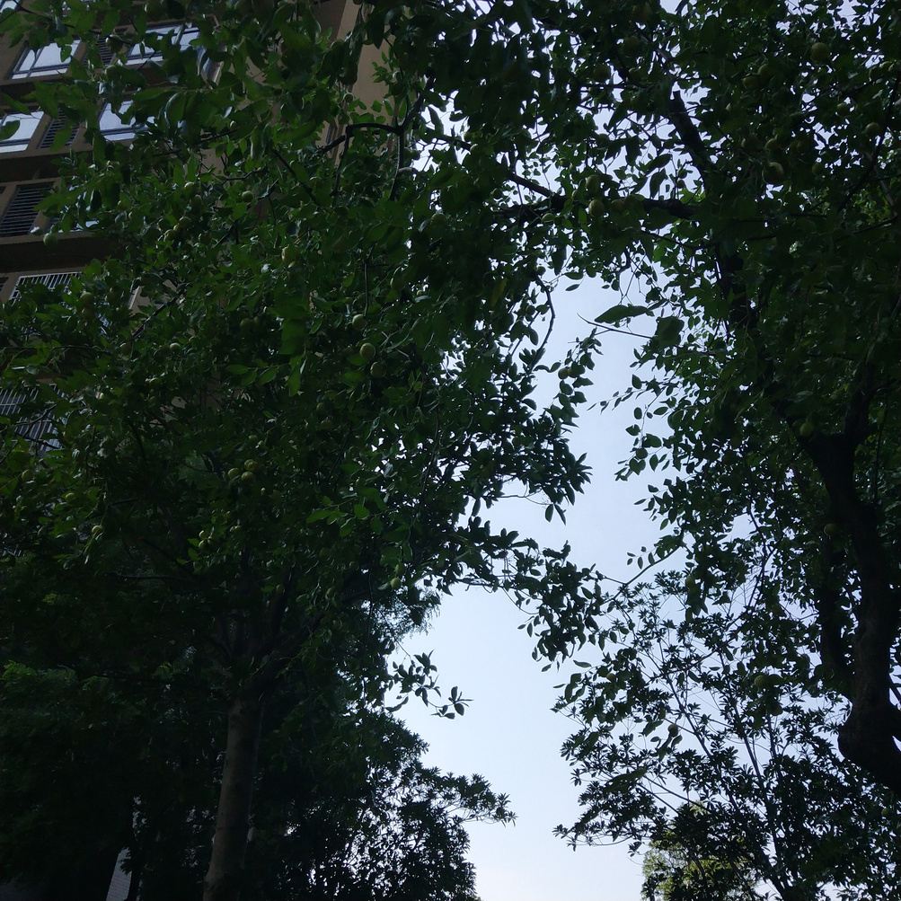 无锡重新开始公寓
