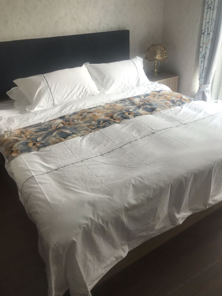 精致一室一厅套房