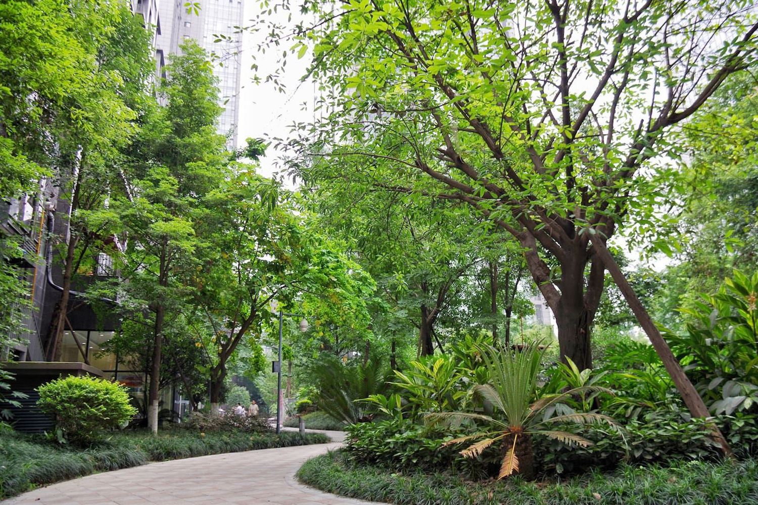 成都张西瓜公寓(5号店)