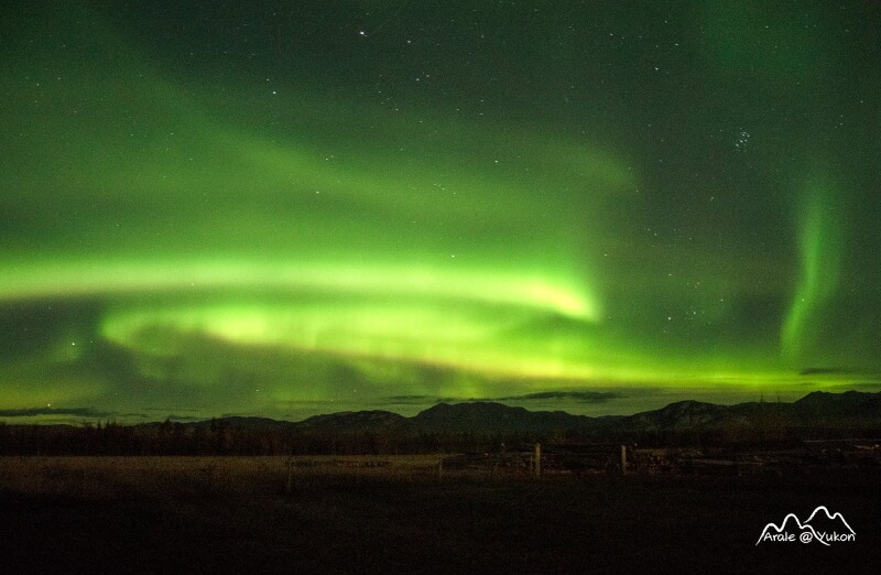 #猎艳行动#开荒贴:史上最全加拿大育空+阿拉斯