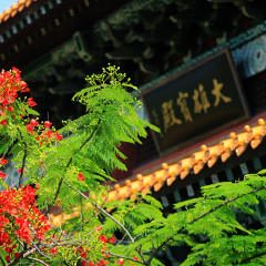 景点模块 