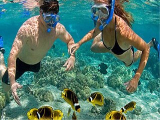 旅行團馬爾代夫游_馬爾代夫旅游路線_馬爾代夫2人旅游需要多少錢
