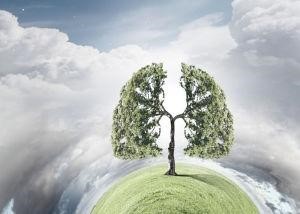 国家森林城市人均公园_人均占有森林面积(2)