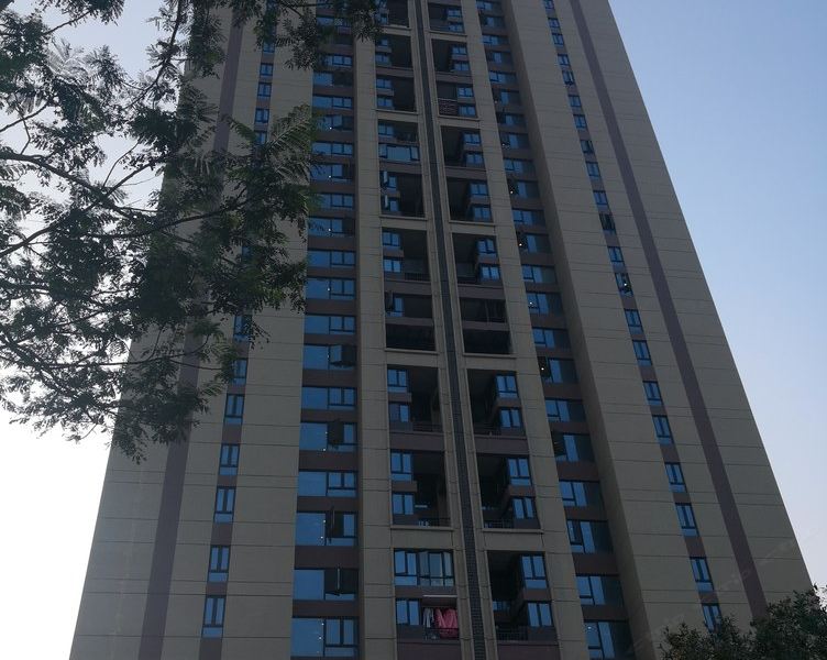 佛山小鱼游佛山顺德大良顺峰山公园旁公寓(云阳路分店)
