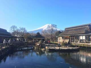 <日本大阪-奈良-富士山-东京6日游>早樱预售 经验丰富领队 AF线爆款爸妈游 含全餐 B线经典双古都 CDE线大阪或东京自由 G线伊豆樱迷预售