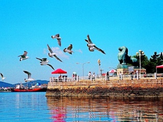 組團(tuán)去大連_大連私人定制旅游_深圳到大連旅游報(bào)價(jià)
