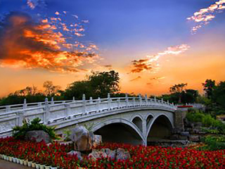 桂林陽(yáng)朔旅游價(jià)格多少跟團(tuán)_桂林陽(yáng)朔旅游報(bào)價(jià)_8月桂林陽(yáng)朔旅游