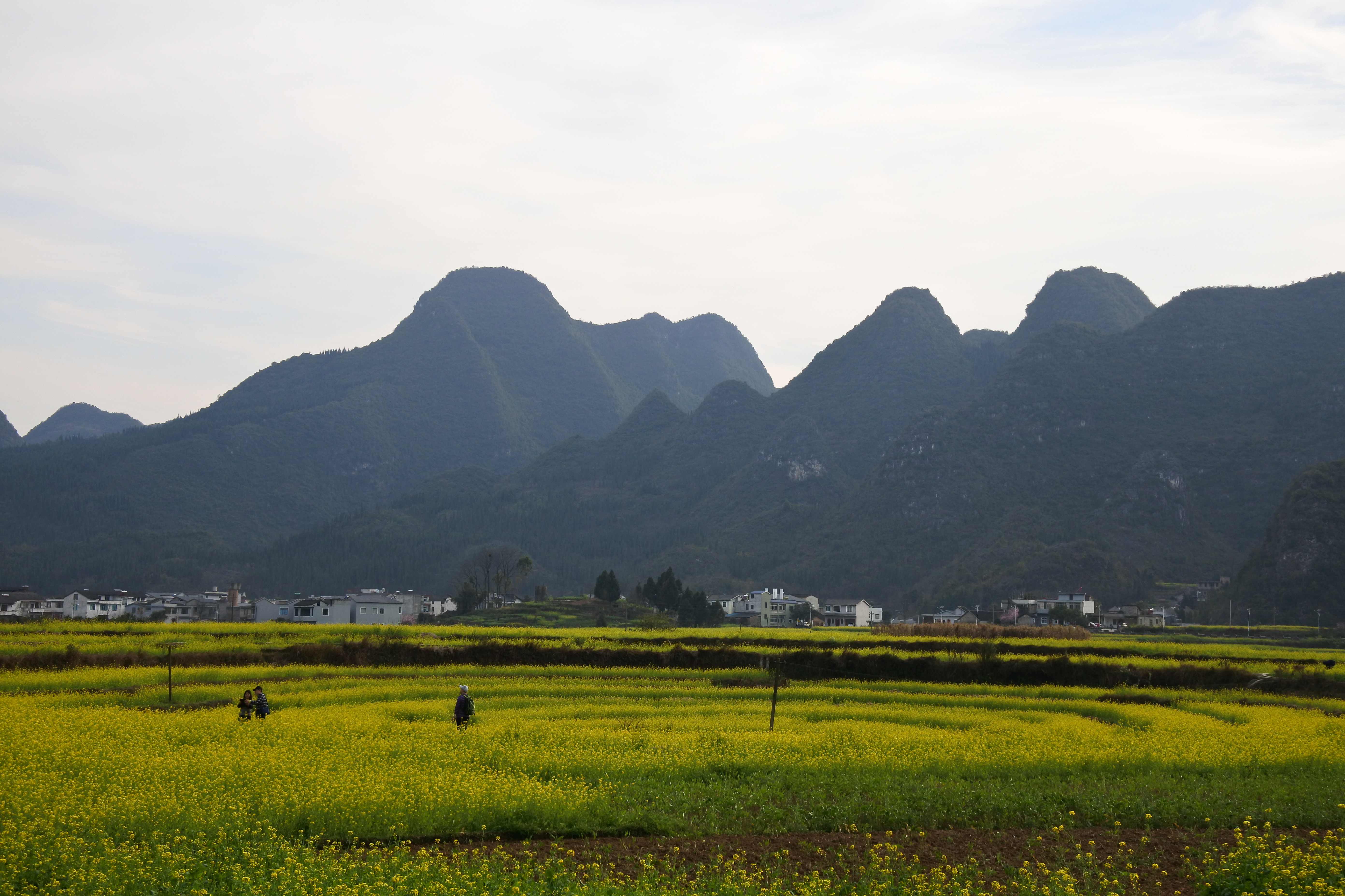 可以玩7~10天 不要人群拥挤的地方 要高山流水 鸟语花香 小桥流水