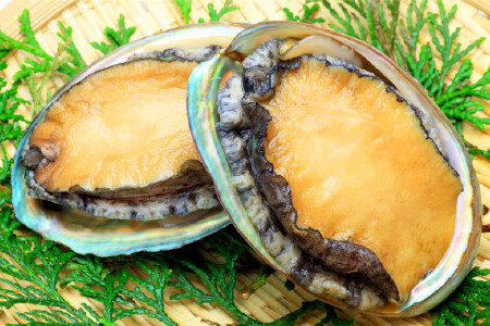 food_picture