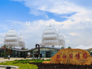 廣西北海旅游花費(fèi)一般多少_廣西北海九月旅游_旅游去廣西北海