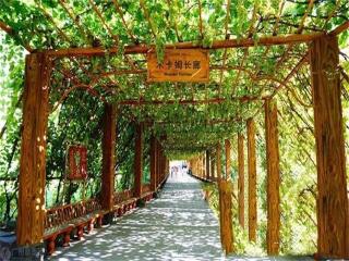 2021年新疆旅游團(tuán)報(bào)價(jià)_新疆游 旅行團(tuán)_新疆旅游多少錢