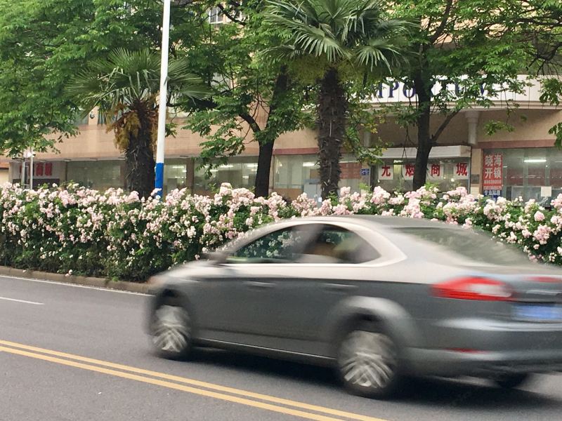 常州阿元普通公寓