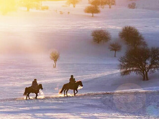 亞布力雪鄉(xiāng)旅游價(jià)格_亞布力雪鄉(xiāng)旅游要多少錢跟團(tuán)_到亞布力雪鄉(xiāng)旅游多少錢