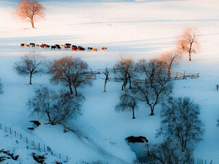 亞布力雪鄉(xiāng)旅游價(jià)格_亞布力雪鄉(xiāng)旅游要多少錢跟團(tuán)_到亞布力雪鄉(xiāng)旅游多少錢