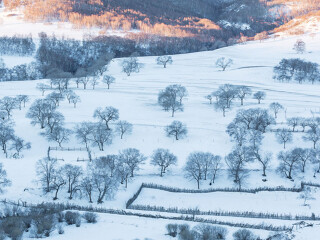 亞布力雪鄉(xiāng)旅游價(jià)格_亞布力雪鄉(xiāng)旅游要多少錢跟團(tuán)_到亞布力雪鄉(xiāng)旅游多少錢
