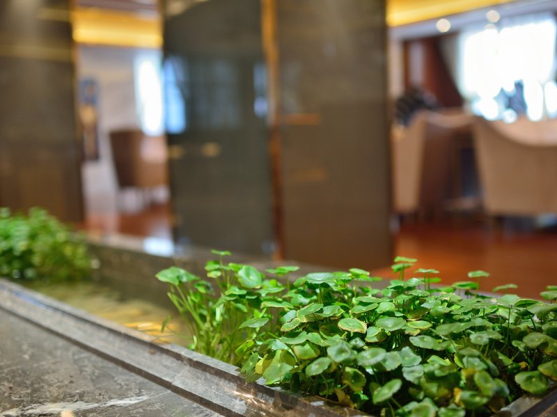 hotelPic