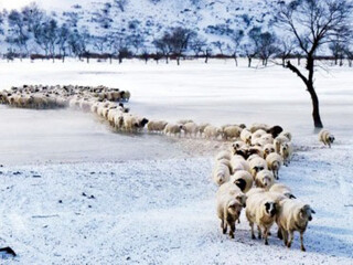 亞布力雪鄉(xiāng)旅游價(jià)格_亞布力雪鄉(xiāng)旅游要多少錢跟團(tuán)_到亞布力雪鄉(xiāng)旅游多少錢