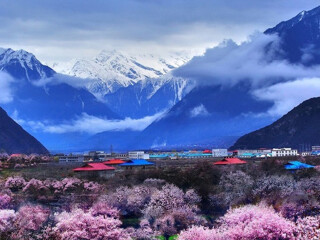 西藏林芝游價(jià)格_西藏林芝2人旅游需要多少錢_西藏林芝跟團(tuán)游與自由行