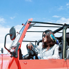 洱海吉普 景点模块