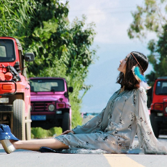 洱海吉普 景点模块