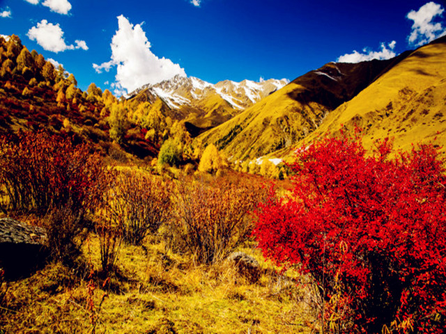 <鹧鸪山2日游