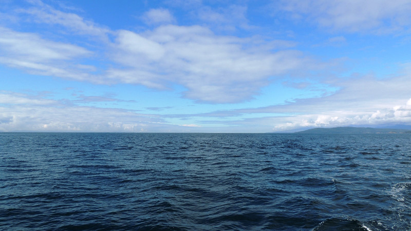 莫道昆明池水浅,观鱼胜过富春江--温哥华岛印象