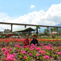景点模块 