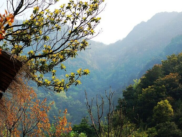 [春节] 浙江宁波3日游>阳明山林温泉,九峰山赏梅,南塘老街,慈城,除夕