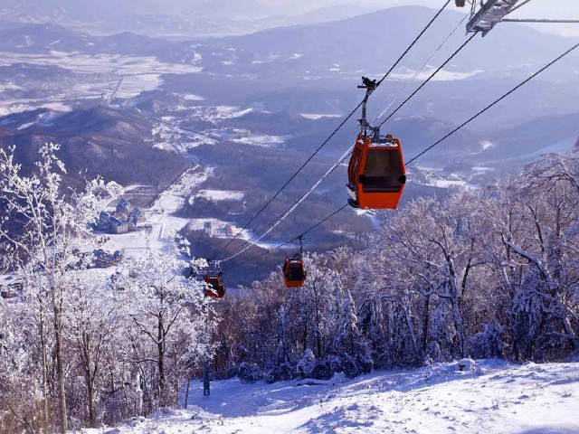  哈尔滨冰雪大世界-亚布力-雪乡双飞5日游>26人小团,冰雪航拍记,咖位