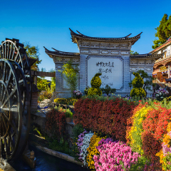 活动模块 