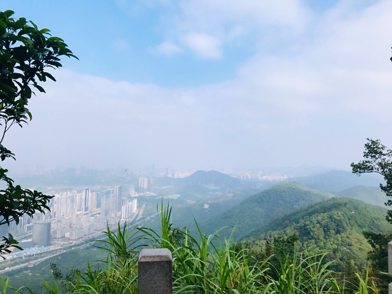 登上深圳塘朗山山顶云山几盘江流几湾天涯海角极目空肠断