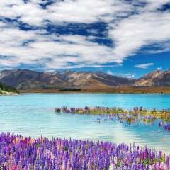 景点模块 