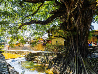 廈門旅游路線_跟團廈門游價格_廈門私人定制旅游