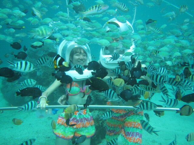 http:\/\/www.tuniu.com\/tour\/210644582