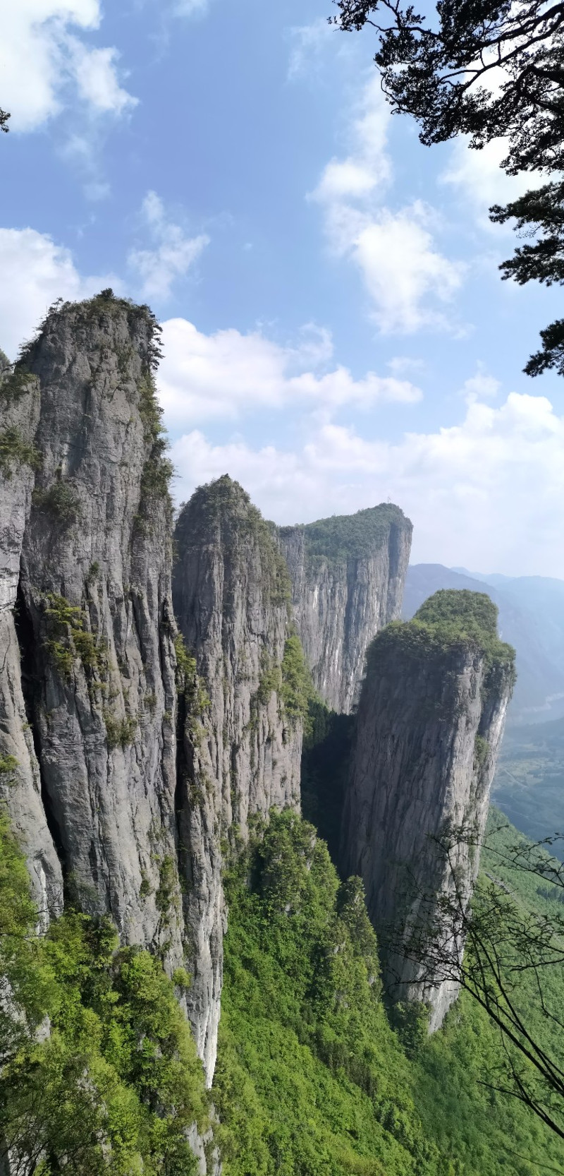 一片巨峰拔地而起,嶙峋的山石上居然也长出绿树,是因为树顽强的生命力