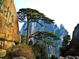 深圳到黃山旅游報價_黃山半自助游_香港旅游團黃山