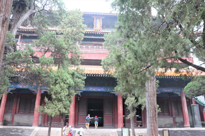 【首发】#猎艳行动#山东曲阜三孔两日游