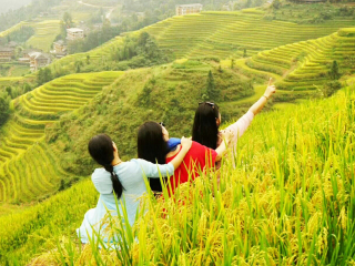 跟团桂林旅游线路_旅行团桂林旅游_到桂林的旅行