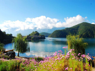 云南西雙版納游組團(tuán)_云南西雙版納旅游大約多少錢